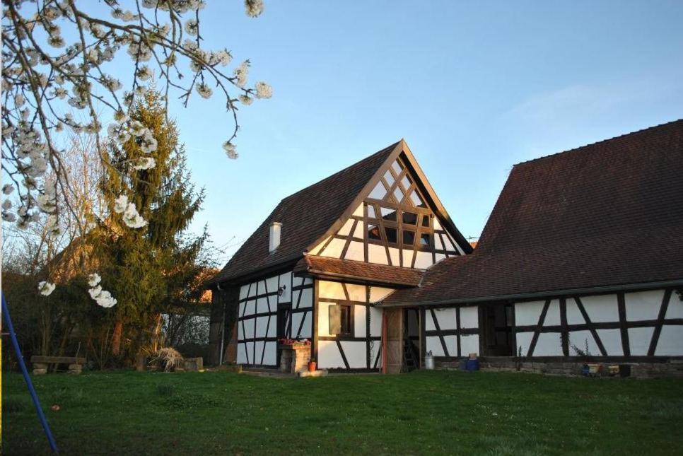 Maison Pittoresque Hermerswiller 外观 照片